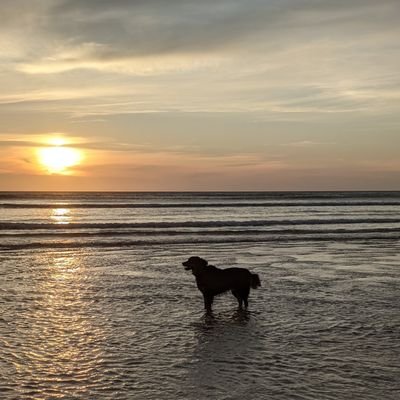 Jules ๐ผ Profile