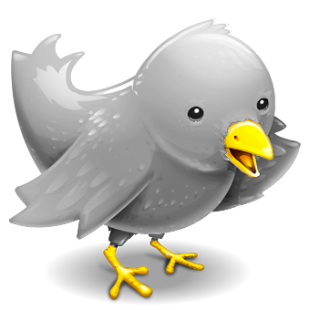 cana_bot's profile picture. born in Shiga, living in Tokyo JAPAN🇯🇵 Shiga → Kanazawa → Shizuoka → Tokyo