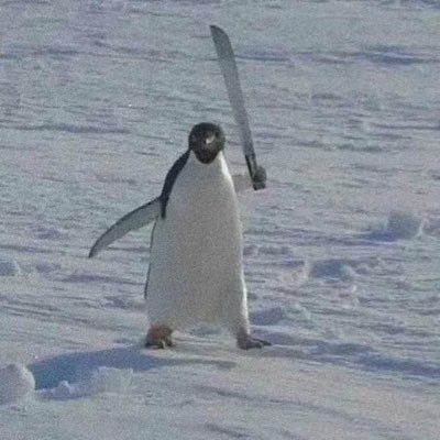 お仕事のご依頼はリンクからお願いします♪