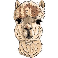 WPAS (@westplaceanimal) 's Twitter Profile