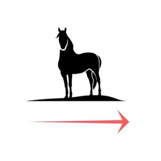 🐴 The Ultimate Resource for Beginner Riders🐴 ⬇️ Free Resources ⬇️