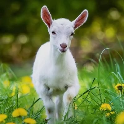 karthikeya12326's profile picture. 