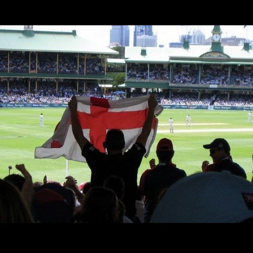 pcdento's profile picture. 