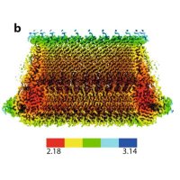 Lea Lab (@lealabtweets) 's Twitter Profile Photo Lea Lab (@lealabtweets) 's Twitter Profile Photo