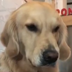 MarathonxDxD's profile picture. Retired Worldwide Internet Personality