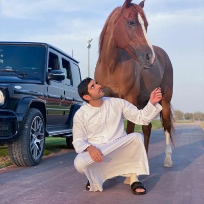 binHamd13891846's profile picture. 