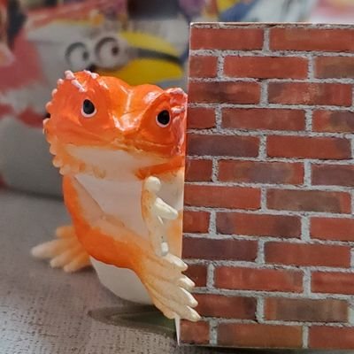 20↑成人済み。2次元中心のZゲーマー。
リンクとゼルダにはいい加減幸せに生きて欲しい民。時オカが1番好き。
バイオはピアーズくん大好きすぎる民。アルファチーム最高では???
霊狐村はずっと私の家族、皆ありがとう。今はメガニケ活動中💪シュガードールが癒し🙌