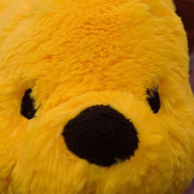 こますん💛🐾さんのプロフィール画像