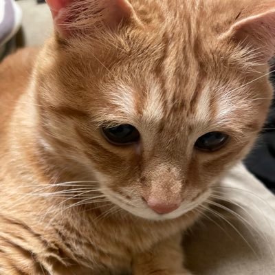 ももげ Aiu1529 Twitter ももげ Aiu1529 Twitter
