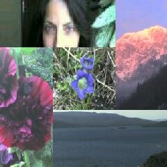 seaflipper's profile picture. Am a TEFL, love laughing, sports, nature & funny people