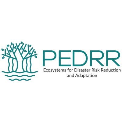 PEDRRnetwork Profile Picture