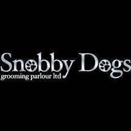 Award-Winning,  Family Owned, Luxury Salons, Grooming Academy, Qualifications, KC Standard Grooming, Dog Walking. Franchise Opportunities Available   #SBSwinner