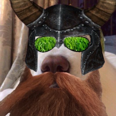 Fredpoilu's profile picture. 