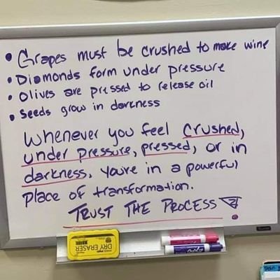 kutzy23's profile picture. for the love of sports and the outdoors.