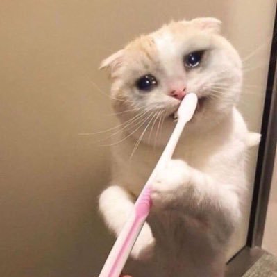 bahagiatrusyuu's profile picture. tiap hari ngeluh jangan difollow nanti pusing