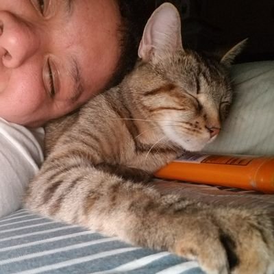 Amanda_Realm's profile picture. Creator of Hispanic Lives Matter, Cat Mom, Compassionate, Loving, Hopeless Romantic, Big Heart and Pisces. ❤💋

♓️