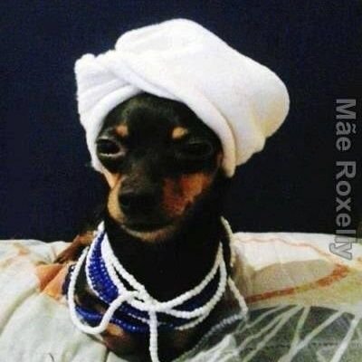 pythoni79583446's profile picture. jovem movida a café e desespero.