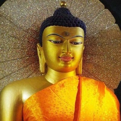 DilshanKumar17's profile picture. 