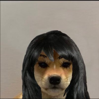 hailey_wooo's profile picture. 