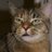 Isaacdavidlt's profile image