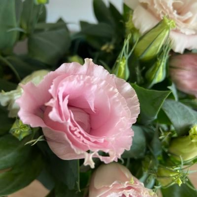 mrntx80's profile picture. 