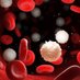 Hematoloji (@hematoloji2) Twitter profile photo Hematoloji (@hematoloji2) Twitter profile photo
