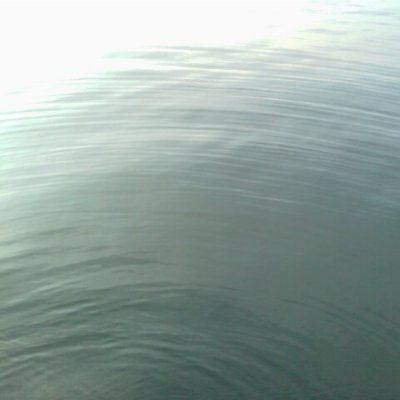 imanizi's profile picture. メメントモリ。排除の空気に唾を吐け。好きにつぶやく、今は本当に独り言専用。スパイト行動或いは鳥に餌やるな警察のいない優しい国に住みたい。