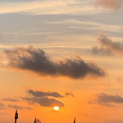 Anthony05229873's profile picture. 