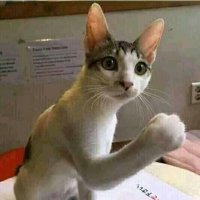 MaXZ (@maxz51343695) 's Twitter Profile Photo