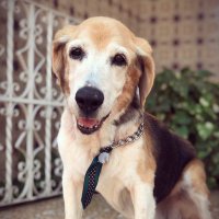 laís (@4stupids) 's Twitter Profile Photo