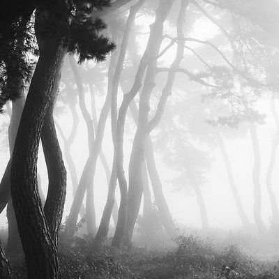 LoriBen846's profile picture. 