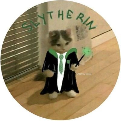 DePaozi's profile picture. 𝚐𝚘𝚜𝚝𝚘 𝚍𝚎 𝚞𝚖𝚋𝚛𝚎𝚕𝚕𝚊 𝚊𝚌𝚎𝚍𝚎𝚖𝚎𝚢☕︎☂︎e ⚡Harry Potter⚡e stranger things) {sonserina∆🐍}