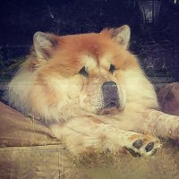 Scott (@nfssmith) 's Twitter Profile