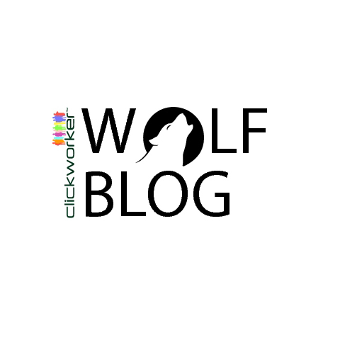 Wolfgang Kitza is CEO of paid crowdsourcing leader Clickworker and author of the WOLFblog.