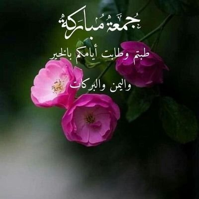 dgLZ9yqLO2VVlSw's profile picture. الاعتدال والوسطية ، نهجي