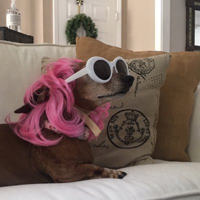 itsmeg1213's profile picture. 