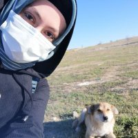 Fatma Yiğit (@yigitftm70) 's Twitter Profile