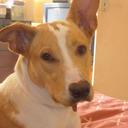 Dra. Kenia Polanco - @doctora_polanco - Twitter