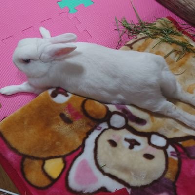 h1yor1n's profile picture. 