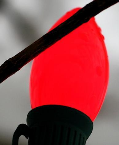 ShowProLCD's profile picture. 