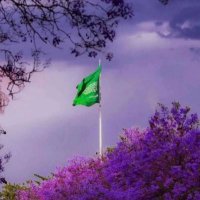 د. نسرين بنت أحمد الضبيب (@n_aldhobaib) 's Twitter Profile