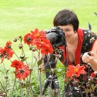 lynseywilson (@lynseywilson) 's Twitter Profile