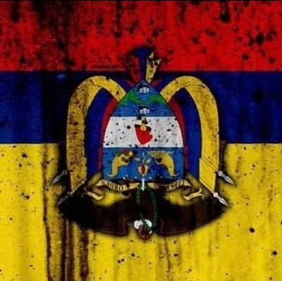 brigitceballos's profile picture. 