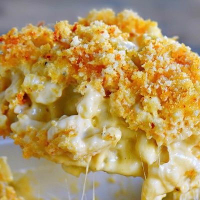 macnchee5e's profile picture. EZ DD