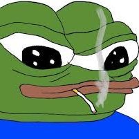 MiguelS9928's profile picture. 