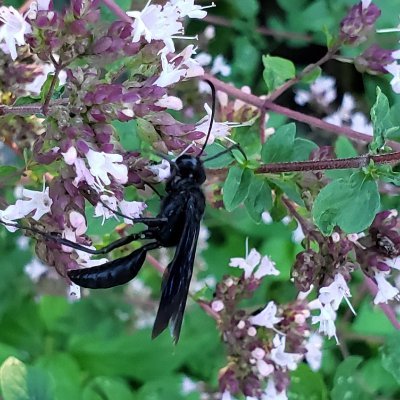 k_nesbitt's profile picture. 