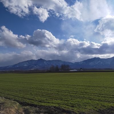 jJGbkRLiJSg6Bb1's profile picture. 