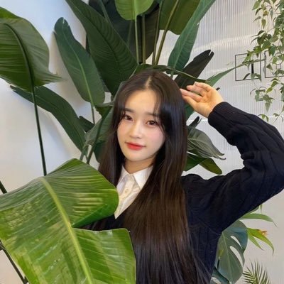 pixy’s fandom is a cult