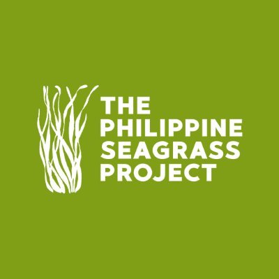 Seagrass Conservation & Mapping in the Philippines