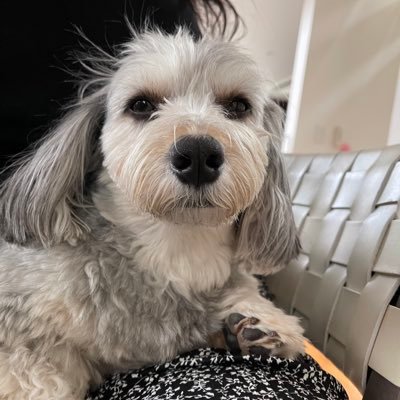 anju__0620's profile picture. 動物が好き❤地球環境のために自分が出来ることをしよう🍀🍀🍀